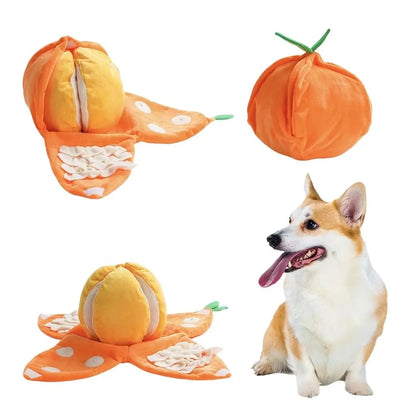 Watermelon and Orange Shape Seek Dog Toys Interactive Relieve Anxiety Squeaky Dog Toy Fruit Design Dog Pet Toys