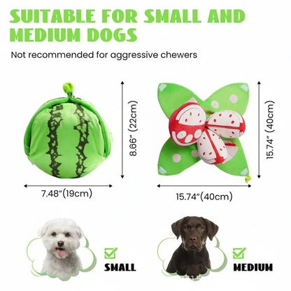 Watermelon and Orange Shape Seek Dog Toys Interactive Relieve Anxiety Squeaky Dog Toy Fruit Design Dog Pet Toys