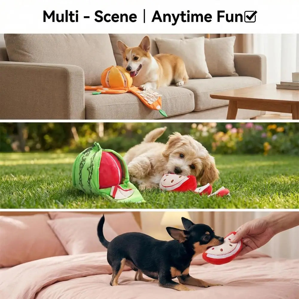 Watermelon and Orange Shape Seek Dog Toys Interactive Relieve Anxiety Squeaky Dog Toy Fruit Design Dog Pet Toys